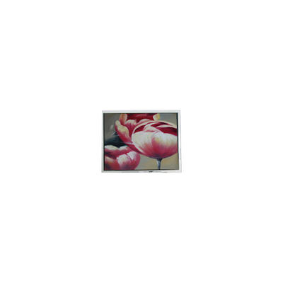 Goede prijs Originele 240*64 DMF5010NF-FW-BE 5,2 inch 70Hz LCD-paneel online