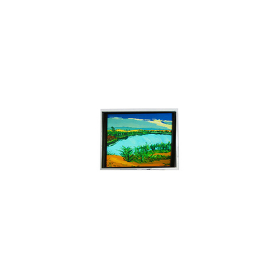 Goede prijs DMF-50316NF-FW-1 240*64 5,2 inch 130 cd/m2 LCD scherm online