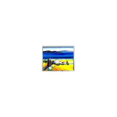 Goede prijs Hot Sell 5,4 inch DMF50773NF-FW 240*128 22 pin LCD scherm online