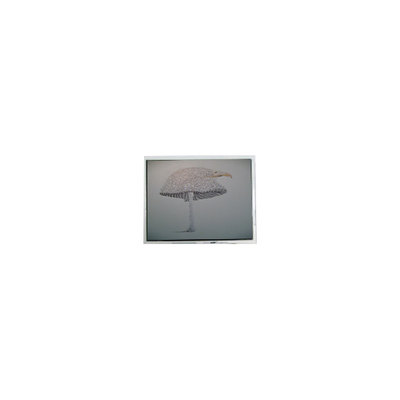 Goede prijs 9.4 inch DMF-51043NFU-FW 640*480 LCD scherm online