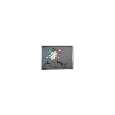 Goede prijs Oorspronkelijk 5,2 inch 240*64 F-51405GNB-LW-ANN WLED LCD display online