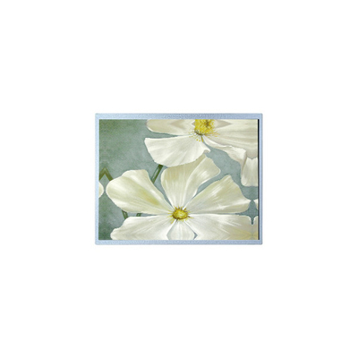 Goede prijs F-51851GNFQJ-LW-AAN 240*64 5.2 inch 72 pins LCD-displaypaneel online