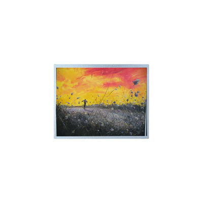 Goede prijs F-55157GNB-FW-APN 320*240 5,7 inch LCD-schermpaneel online