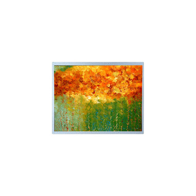 Goede prijs 7.0 inch T-51383L070J-FW-P-AB 480 * 234 LCD-scherm voor draagbare DVD-speler online