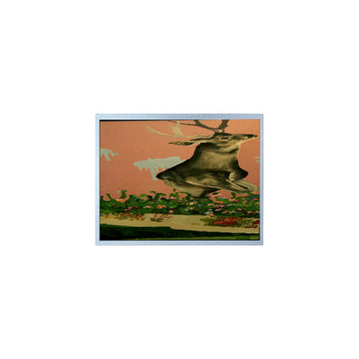 Goede prijs 15.0 inch T-51863D150J-FW-A-AE 1024*768 LVDS LCD Monitor Industrial online