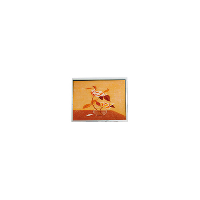 Goede prijs T-55225D104J-FW-A-AAN 10,4 inch 1024*768 LCD-schermmodule online