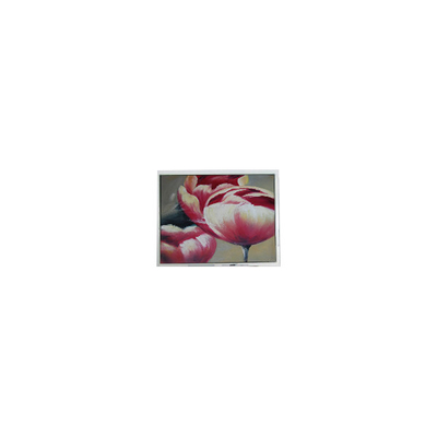 Goede prijs Nieuwe T-55548GD057JU-LW-AAN 5,7 inch 262K LCD-schermonderdelen online