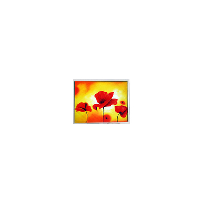 Goede prijs T-55629D065J-LW-A-AAN 6,5 inch 640*480 LVDS LCD-schermpaneel online