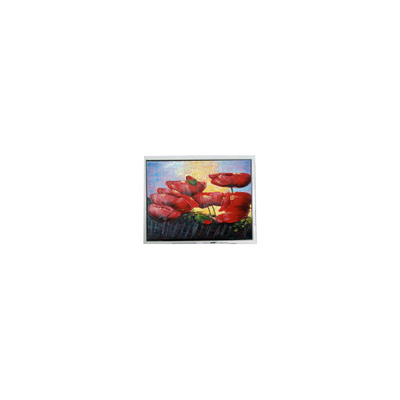 Goede prijs Hot Sell 6.5 inch 640*480 T-55629D065J-LW-A-ABN LCD Screen Panel Display online