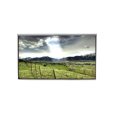 Goede prijs P1010WXF1MA01 10,1 inch lcd scherm voor buiten online