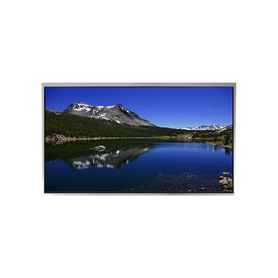 Goede prijs Nieuw 10,1 inch P1010WXF1MB10 500 cd/m2 lcd scherm voor TIANMA online