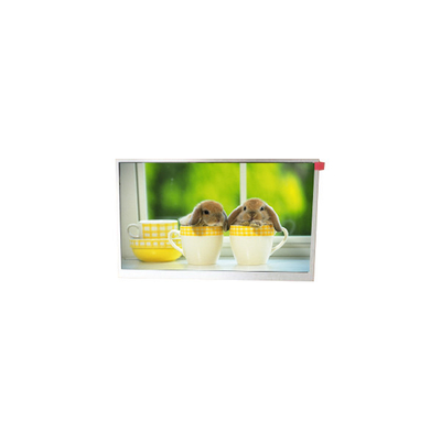 Goede prijs TM090RDSG06 9,0 inch 800*480 WLED LCD-scherm online
