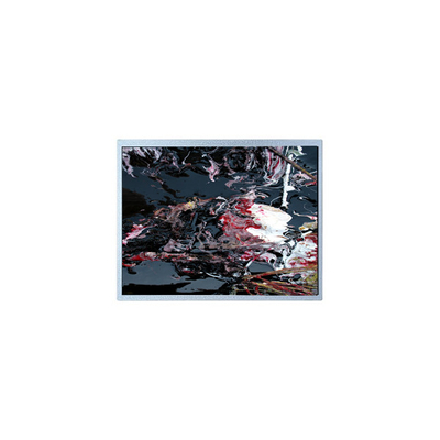 Goede prijs P1210WXF1MA01 12,1 inch LVDS TFT LCD Panel Module online