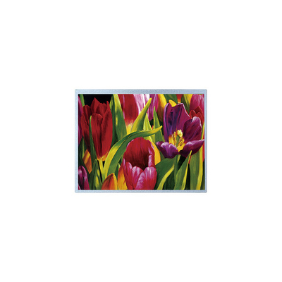 Goede prijs Hoogwaardig 14,0 inch P1400FHF1MA00 TFT LCD-schermpaneel online