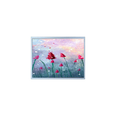 Goede prijs P1900SXF1MA00 19,0 inch TFT LCD-monitor voor medische beeldvorming online