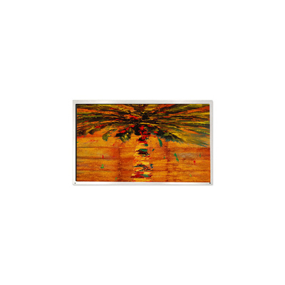 Goede prijs HM150X01-N01-1QP1 15,0 inch 1024*768 LCD-paneel voor digitale signage online