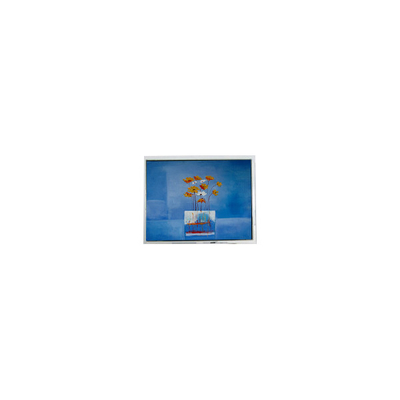 Goede prijs HSD080GHW3-A15 8,0 inch 1280*720 LCD-scherm voor buitenshuis hoge helderheid online