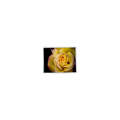 Goede prijs nieuwe 9,7 inch HSD097HXN2-A00 1024*682 LCD Display Panel online