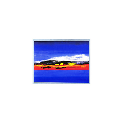 Goede prijs 1920*720 12,3 inch HSD123JPW2-F10 LCD scherm module online