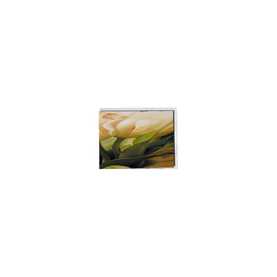 Goede prijs MiNi 3,2 inch ET0320A5DM9 240*320 LCD-scherm voor mobiele telefoon online