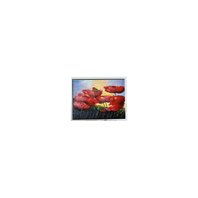Goede prijs 5,7 inch 320*240 EW50352BCW lcd-paneel LCD-monitor online