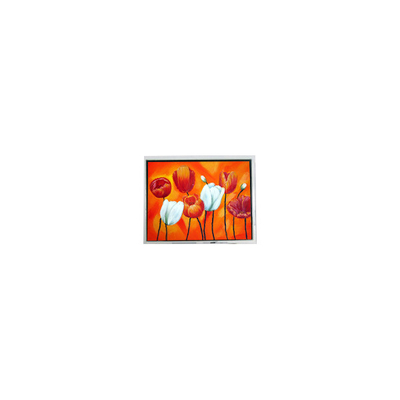 Goede prijs EW50397BCW 4,7 inch klein 320*240 75Hz lcd Panel lcd scherm online