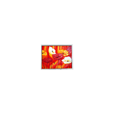 Goede prijs originele 5,7 inch 320*240 EW50565BCW 14 pin LCD-schermonderdelen online