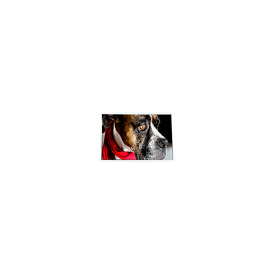 Goede prijs COM35H3P58ULC 3,5 inch 320*240 60Hz LCD scherm online