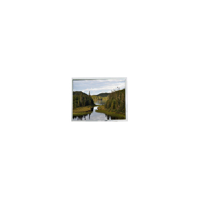 Goede prijs mini 4,1 inch COM41H4M31XLC 320*240 262K LCD-scherm online