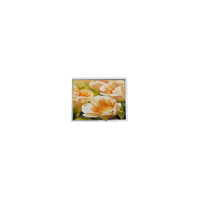 Goede prijs COM50T5123XLC 320*240 5,0 inch LCD-scherm online