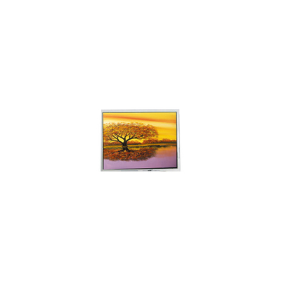 Goede prijs warm verkoop 640*480 COM57H5M84XRC 5,7 inch 60Hz LCD-scherm online