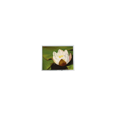 Goede prijs 640*480 5,7 inch COM57H5M87KTC 262K 60Hz LCD Touch Display online