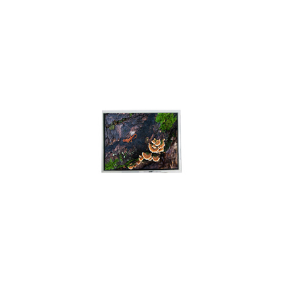 Goede prijs nieuwe 3,0 inch 30WQF0H 240*400 5S1P WLED LCD-schermmodule online