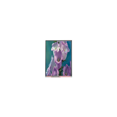 Goede prijs 7,0 inch C070AWPE-0 800*480 TFT LCD-scherm LCD-paneel Industrieel online