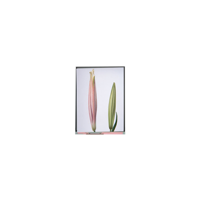 Goede prijs C080SWW3-0 8,0 inch TFT LCD-scherm voor tablet online