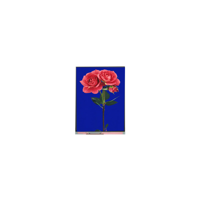 Goede prijs 800*1280 C080SWW3-1 8,0 inch TFT LCD Display FOR Pad online
