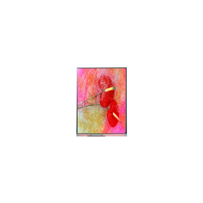 Goede prijs Originele 9,0 inch 800*480 C090NWP1 R1 16.7M TFT LCD-scherm online