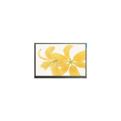 Goede prijs 10,4 inch LPM104GNX1 R1 TFT LVDS 262K LCD-paneelmonitor online