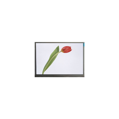 Goede prijs M070SWP1 R0 7,0 inch 800*480 TFT LCD scherm online