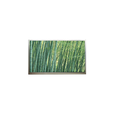 Goede prijs 1024*768 10,4 inch M104GNX2 R1 LCD scherm online
