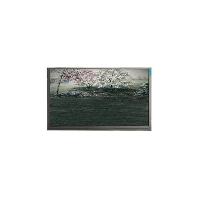 Goede prijs P101GWN9 R0 10,1 inch 1024*600 262K 500:1 LCD-paneel online