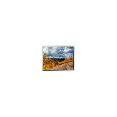 Goede prijs FG0700K5DSSWBG01 7,0 inch LCD-scherm voor auto-display online