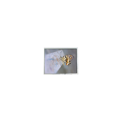 Goede prijs FG050722DSSWDGL2 640*480 5,7 inch 20 pin LCD-schermonderdelen online