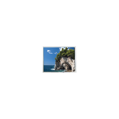 Goede prijs 640*480 FG080010DNCWAGL4 8,0 inch 262K LCD Panel Module online