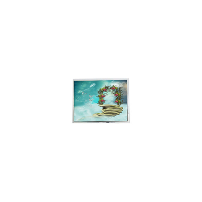 Goede prijs TFT1N5918 6,9 inch 800*480 LVDS LCD scherm Monitor online