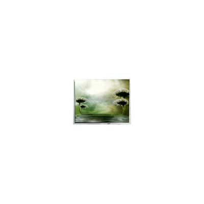 Goede prijs 10.4 inch TFT1P1799-E 960*1280 LCD-scherm voor Automotive online