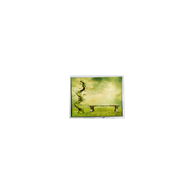 Goede prijs originele 7,0 inch TFT7D0179 600*1024 16,7M LCD-scherm LCD-scherm online