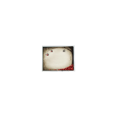 Goede prijs TFT9D6672 6,9 inch 800*480 600:1 LCD-schermmodule onderdelen online
