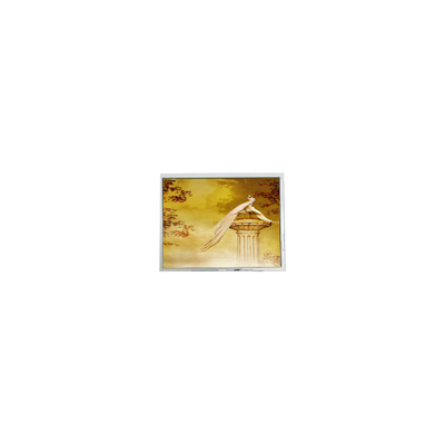 Goede prijs TFT1920720-1 12,3 inch LCD-module schermonderdelen online
