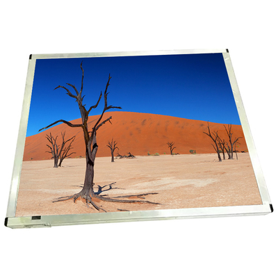 Goede prijs 21,3 inch 2560*2048 R213TFE-L54 LCD-monitor schermonderdelen online